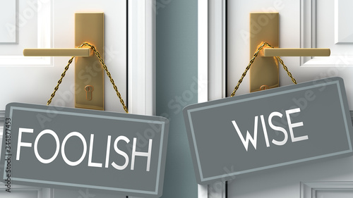 wise or foolish as a choice in life - pictured as words foolish, wise on doors to show that foolish and wise are different options to choose from, 3d illustration