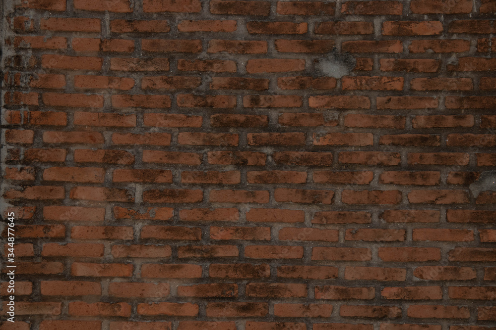 Fototapeta premium brick wall background