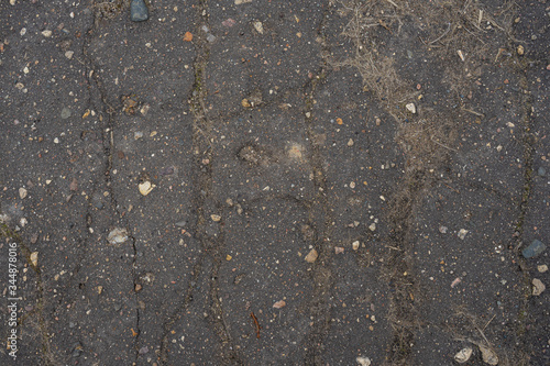 old asphalt of an abandoned road