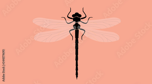 Vector Isolated Illustration of a Dragonfly