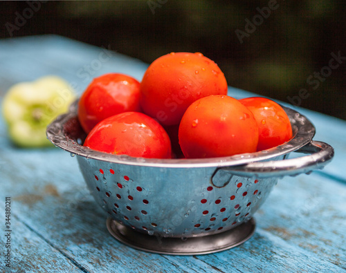 Εκτύπωση καμβά Tomatoes in the metal colander