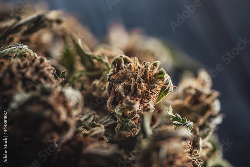 Medical marijuana products, dried bud, cbd marihuana