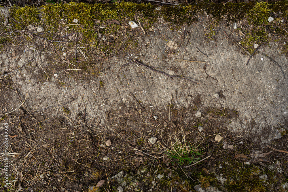 overgrown with moss of the old abandoned concrete road overgrown with moss of the old abandoned concrete road