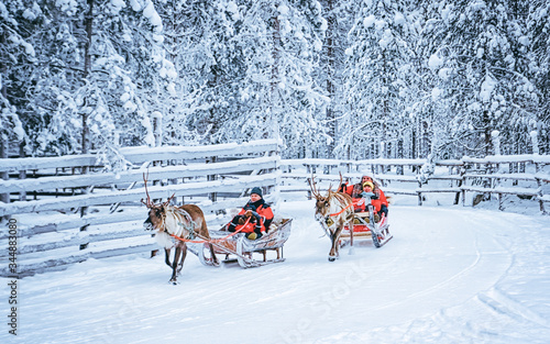 Racing on Reindeer sledding in Finland