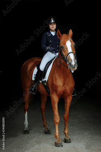 Portrait of a red dressage horse and young woman on black background. Girl with horse. Equestrian sport © matilda553