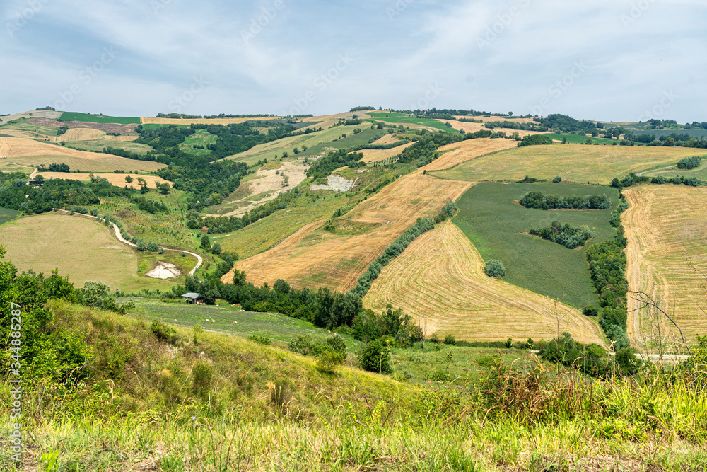 Summer landscape near Meldola, in the Appennino