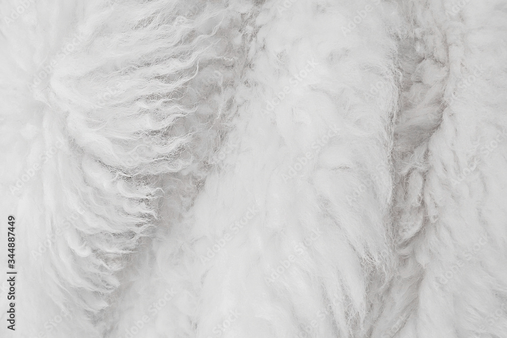 Obraz premium White fur background, light wool texture