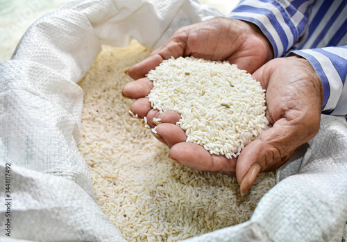 Rice products produced by farmers are. Hand holding rice. .