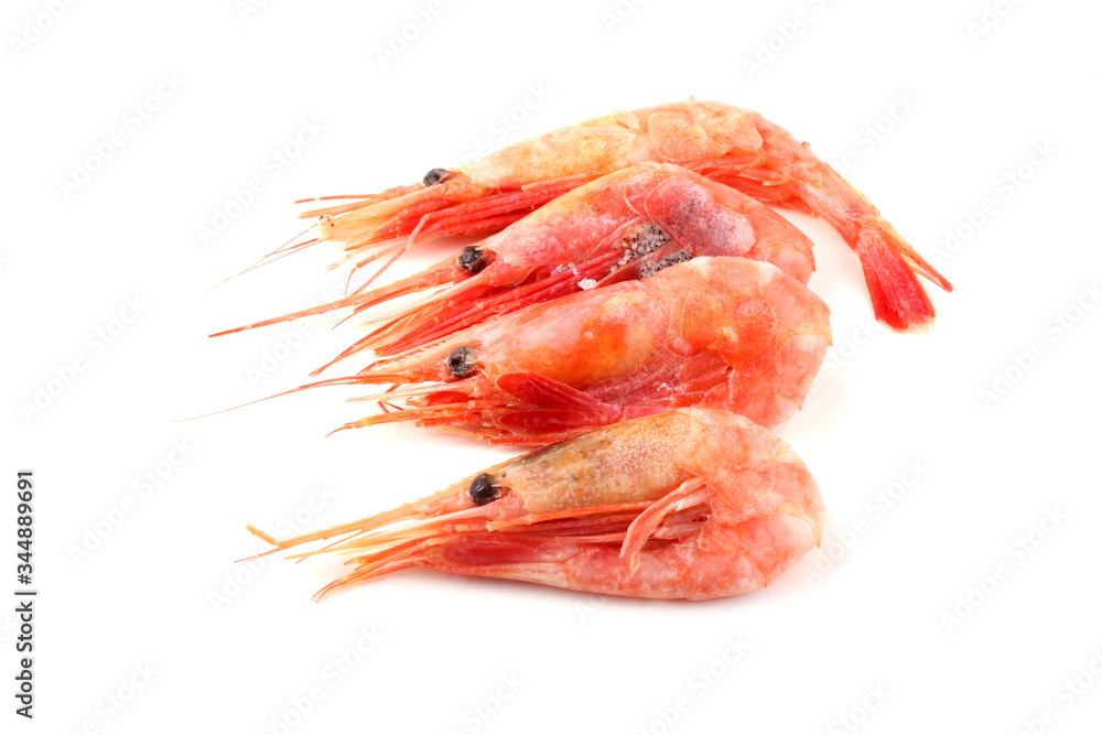Shrimps Shrimps