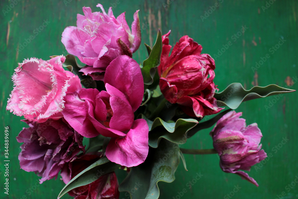 Pink and purple terry tulips bouquet on a green vintage wooden background Pink and purple terry tulips bouquet on a green vintage wooden background