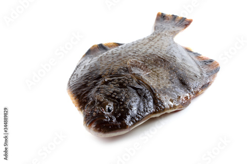 Fotografie, Obraz Starry flounder (emery wheel, long-nosed flounder,  grindstone)