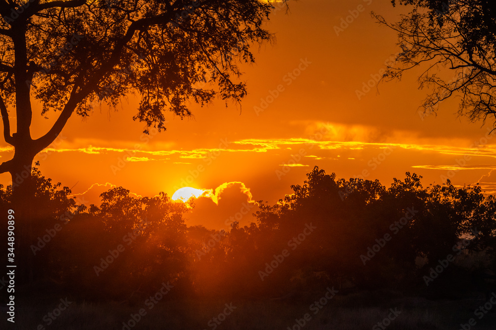 Botswana landscape during beautiful orange sunset showing the land in all its natural beauty