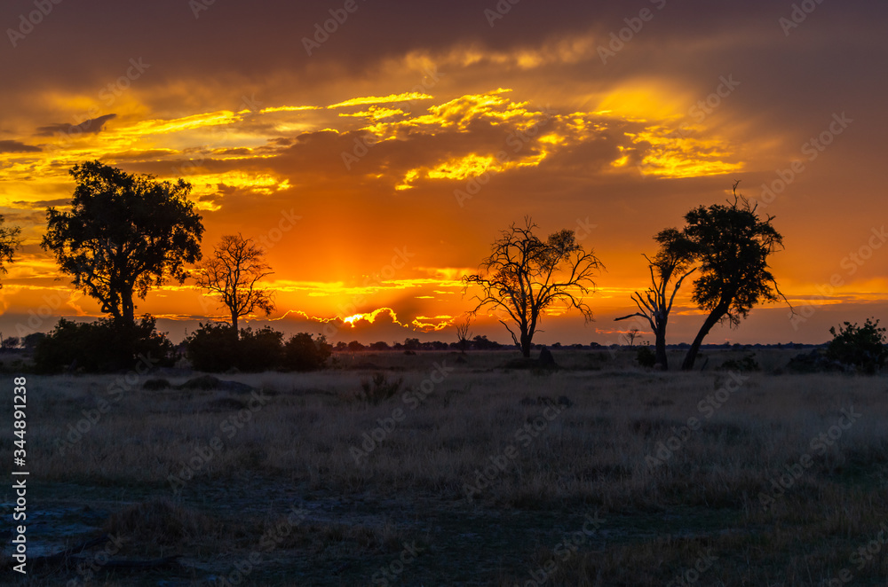Botswana landscape during beautiful orange sunset showing the land in all its natural beauty