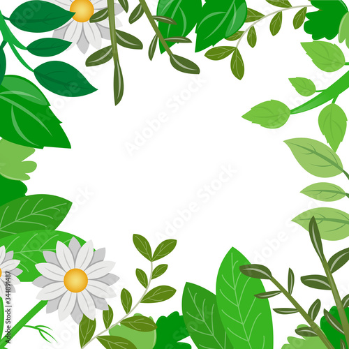 Frame of herbal plants vector illustration design