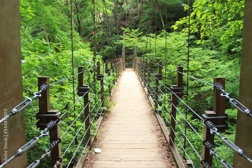 Fototapeta premium 高尾山の吊り橋