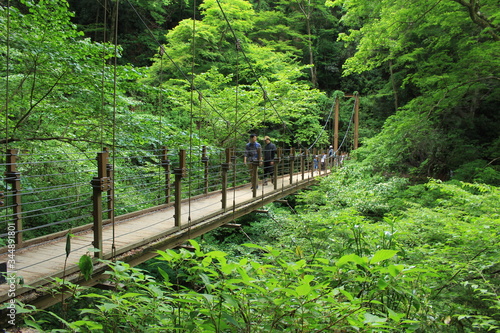 高尾山の吊り橋
