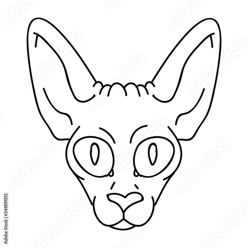 Cute cartoon monochrome sphynx kitten face vector clipart. Pedigree exotic kitty breed for cat lovers. Purebred domestic cat lineart for pet parlor illustration mascot. Isolated hairless feline.