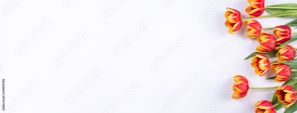 Mother's Day, Valentine's Day background, tulip flower bunch - Beautiful Red, yellow bouquet isolated on white table, top view, flat lay, mock up design concept. Mother's Day, Valentine's Day background, tulip flower bunch - Beautiful Red, yellow bouquet isolated on white table, top view, flat lay, mock up design concept.