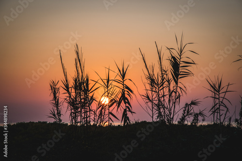 Sunset over the sea, view through grass