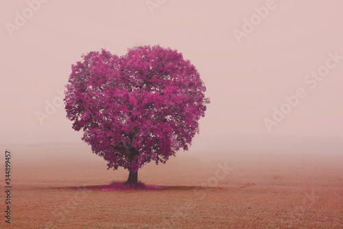 Abstract image with tree in form of heart as symbol of love, wedding or holy valentine's day © yarbeer