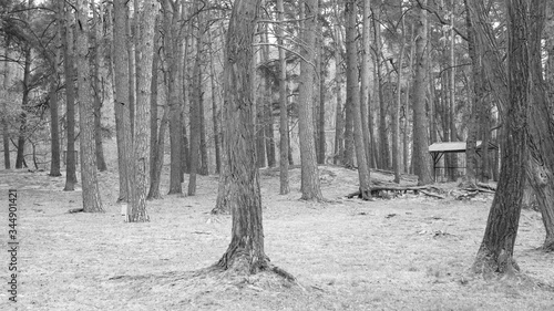 Fototapeta Naklejka Na Ścianę i Meble -  jezioro