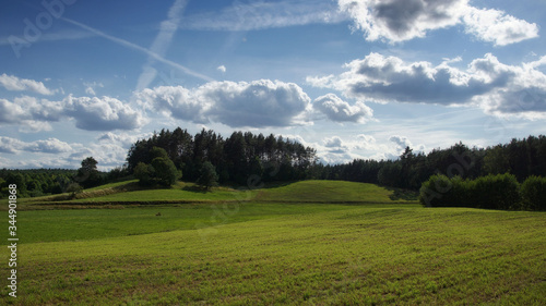Summer landscape