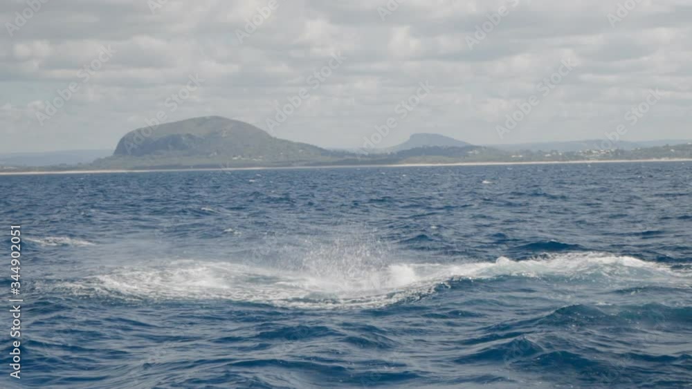 Slow motion of humpback whale flapping in sea against sky, mammal in ocean - Brisbane, Australia Slow motion of humpback whale flapping in sea against sky, mammal in ocean - Brisbane, Australia