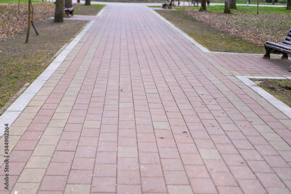 Empty alley in the park