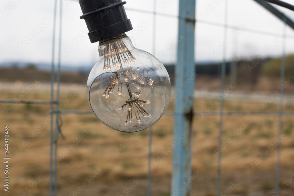 Obraz premium vintage old light bulb outside