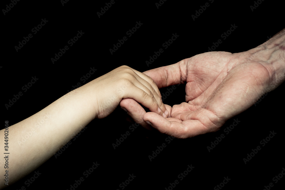 Fototapeta premium old man's and child hand