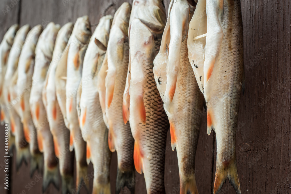 Fototapeta premium salted dry fish on background
