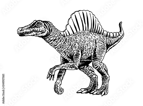 Graphical hand-drawn spinosaurus isolated on white background,vector dinosaur
