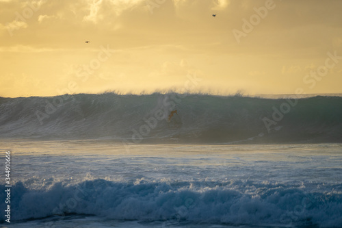 Noth-Shore O'ahu