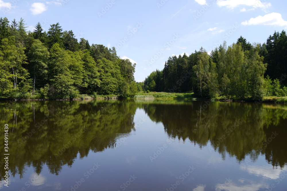 Teich im Wald mit klarem Wasser und Wasserspiegelung