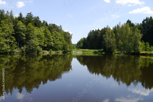 Teich im Wald mit klarem Wasser und Wasserspiegelung