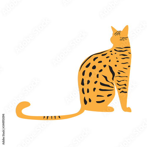 A cat isolated on a white background, a Scandinavian vector stock illustration with cute doodle striped ginger pet