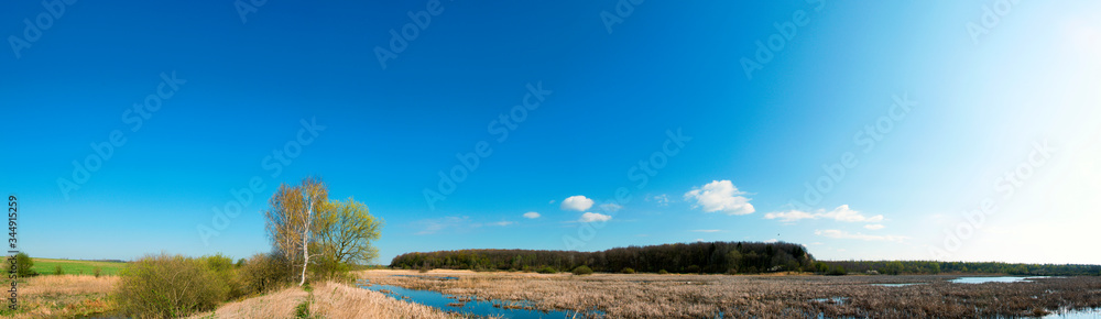Forest shore lake landscape on a sunny day. Panorama of the shore of summer lake in spring. View of the forest lake shore
