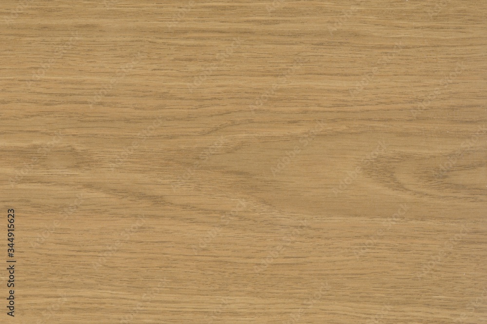 The Laminated coating structure in the form of wood in color. Design for posters, banners, covers, inscriptions and other things The Laminated coating structure in the form of wood in color. Design for posters, banners, covers, inscriptions and other things