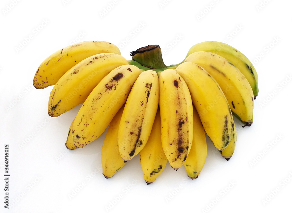 Bunch of ripe mini bananas or baby bananas, bio, small and extra sweet with deep flavor and compact isolated on white background.