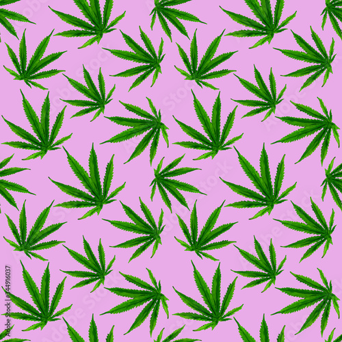 Marijuana gouache seamless pattern . Hemp marijuana, hemp leaves on pink background. Green smoke hashish narcotic