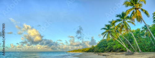 Quadro em tela Exotic Antilles beach with palm tree on the Martinique Tropical beach at sunrise