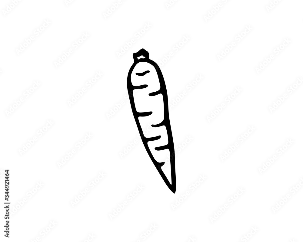 Line drawing of a carrot, simple vector illustration Line drawing of a carrot, simple vector illustration