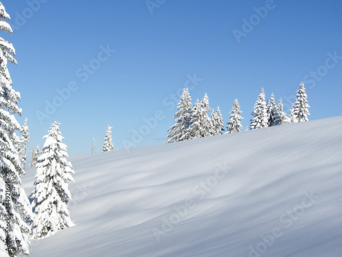 S  ll Austria Winter Scene
