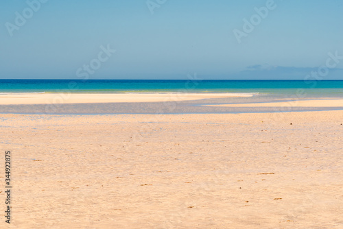 paradisiacal tropical beach on the dunes © DD25