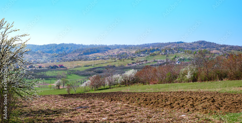 Romanian spring landscape in the country