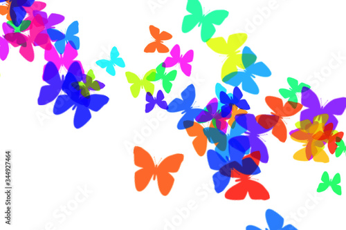 farfalle colorate 