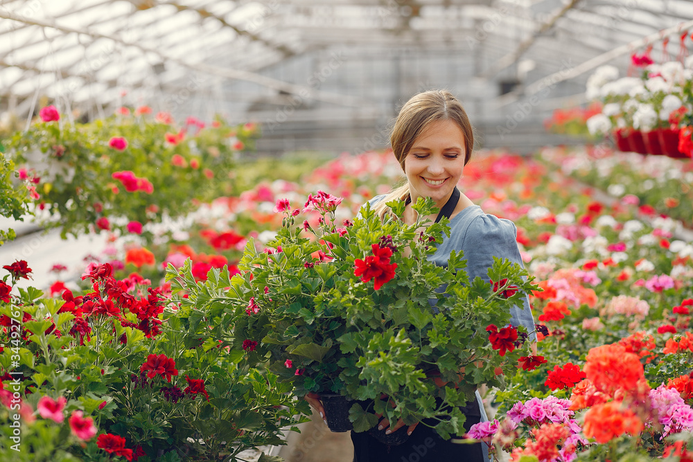 Woman in a greenhouse. Lady works with flowerpoots. Girl in a black apron.
