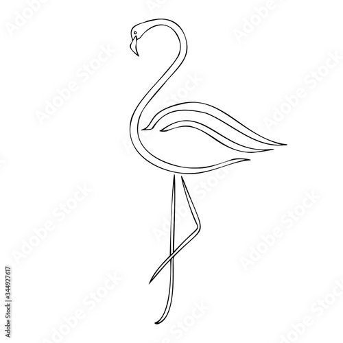 flamingo silhouette vector illustration, cartoon drawing of flamingo tropical bird, outline illustration