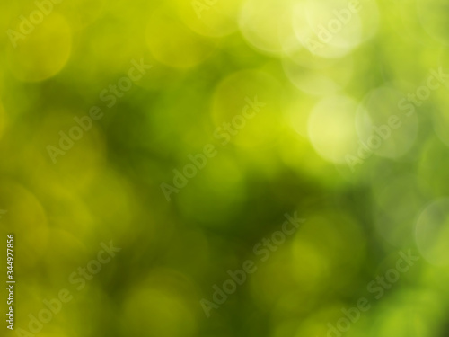 Natural outdoors bokeh background in green and yellow tones, Blurred green tree leaf background with bokeh