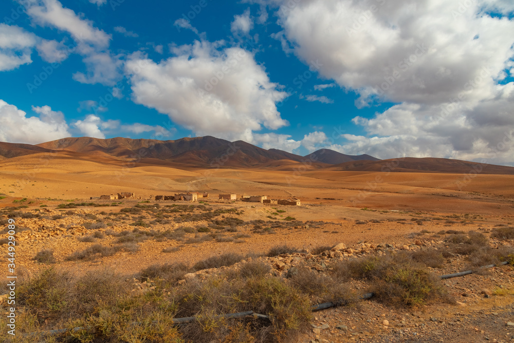 desert landscape in arizona